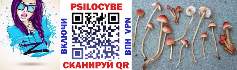 Псилоцибиновые грибы Psilocybine cubensis  Королёв 