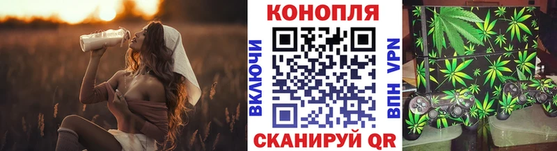 купить наркотики цена  Королёв  Каннабис ГИДРОПОН 